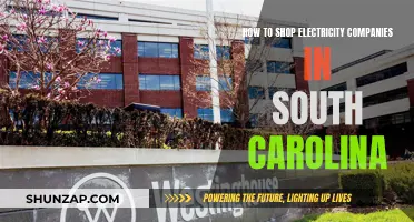 Shopping for Electricity in South Carolina: A Guide
