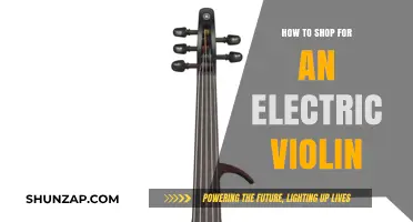 Shopping for an Electric Violin: What to Consider