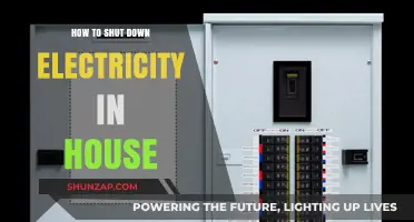 Complete Guide to Shutting Down Your Home's Electricity