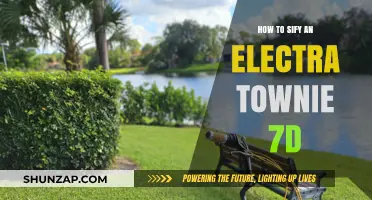 Electra Townie 7D: Assembly and Customization Guide