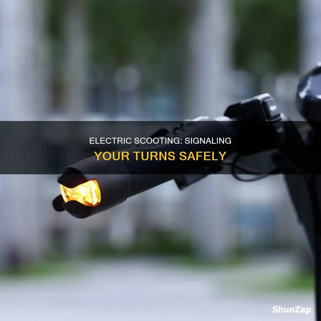 how to signal on qn electric scooter
