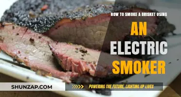 Mastering Electric Smoker Brisket: Step-by-Step Smoking Guide for Perfection
