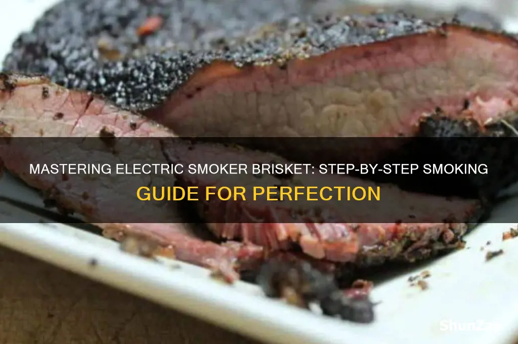 how to smoke a brisket using an electric smoker