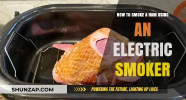 Mastering Electric Smoker Techniques: Perfectly Smoked Ham Every Time