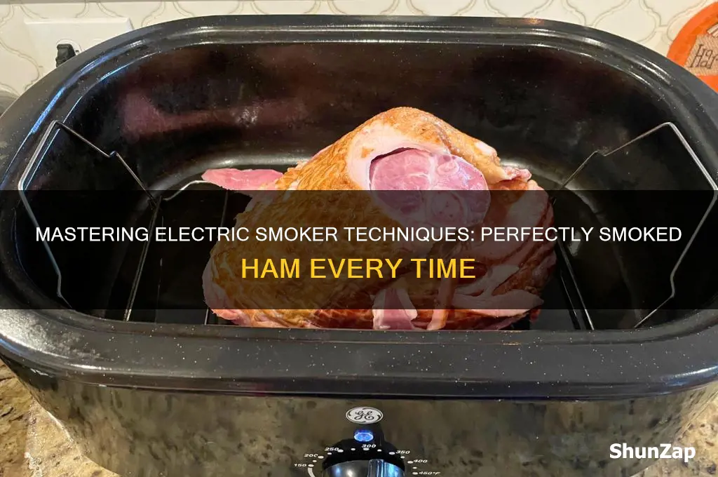 how to smoke a ham using an electric smoker