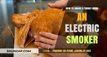 Mastering Electric Smoker Techniques for Perfectly Smoked Turkey Every Time