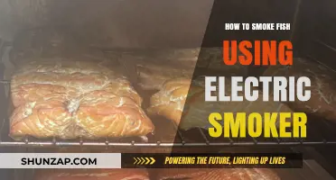 Mastering Electric Smoker Techniques for Perfectly Smoked Fish Every Time
