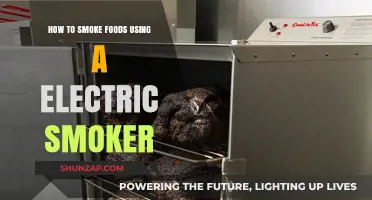 Master Electric Smoking: A Guide to Perfectly Smoked Foods