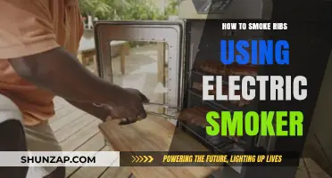 Mastering Electric Smoker Ribs: Tips for Tender, Juicy Perfection