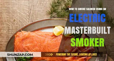 Masterbuilt Smoker Guide: Perfectly Smoking Salmon Every Time
