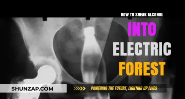 Sneaking Alcohol into Electric Forest: Creative Strategies for Festival-goers