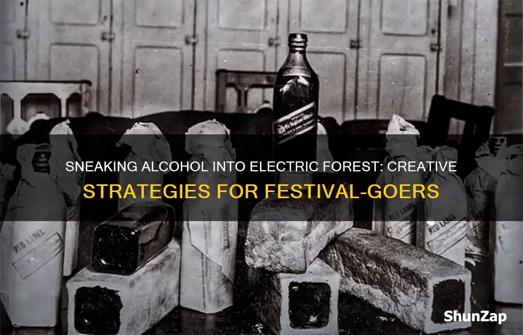 how to sneak alcohol into electric forest