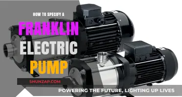 Selecting the Right Franklin Electric Pump: A Guide