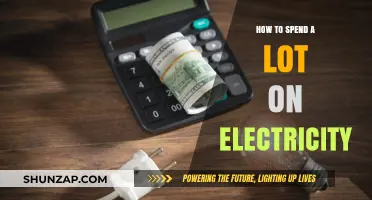 Maximize Your Electricity Usage: Spend More, Live Better