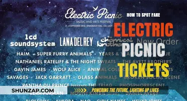 Spotting Fake Electric Picnic Tickets: A Quick Guide