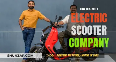 Launching an Electric Scooter Company: Strategies for Success