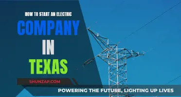 Starting an Electric Company in Texas: A Beginner's Guide