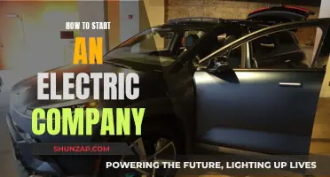 Launching an Electric Company: Steps to Success