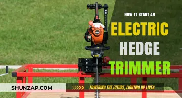 Get Your Electric Hedge Trimmer Started in 3 Easy Steps
