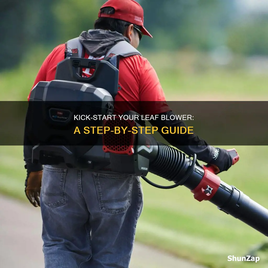 how to start an electric leaf blower