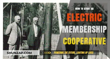 Launching an Electric Membership Cooperative: A Step-by-Step Guide