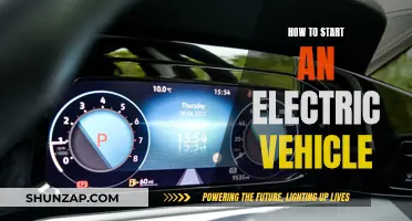 Electric Vehicle Revolution: Getting Started with Your First EV