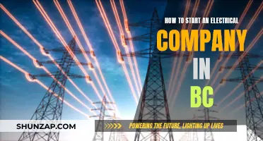 Starting an Electrical Company in BC: A Beginner's Guide