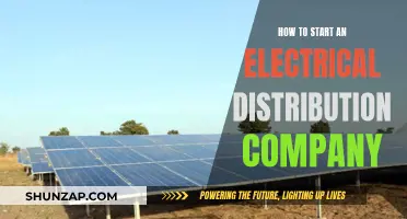 Starting an Electrical Distribution Company: Key Steps to Success