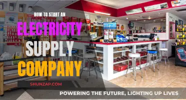 Starting an Electricity Supply Company: A Comprehensive Guide