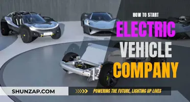 Unleash Your Electric Dreams: A Guide to Launching Your EV Empire