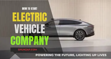 Launching an Electric Vehicle Company: Steps to Success