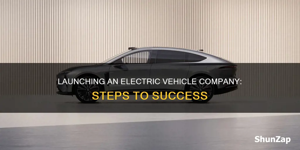 how to start electric vehicle company