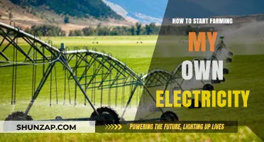 Harvesting Power: Farming Your Own Electricity