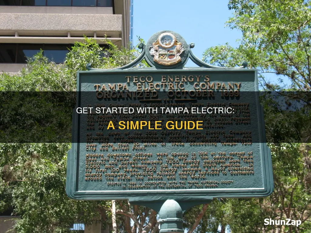 how to start service with tampa electric
