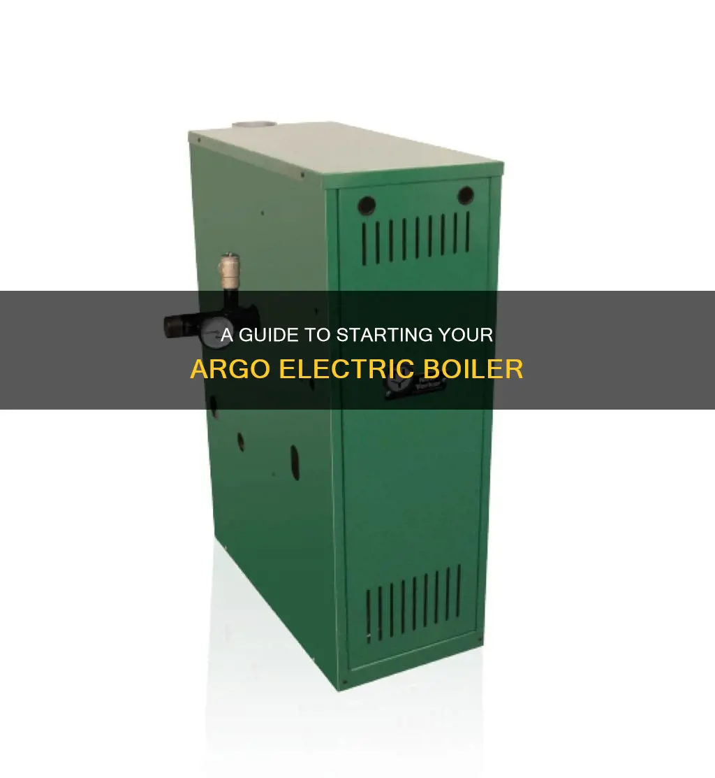 how to start up argo electric boiler