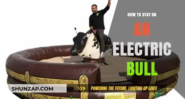 Staying Put: Electric Bull Riding Tips and Tricks