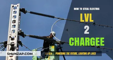 Stealing Electric Charge: The Art of Level 2 Charging