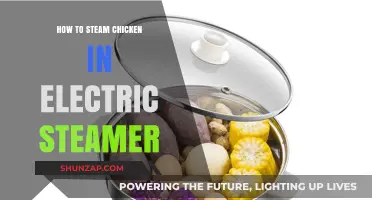 Steaming Chicken: Electric Steamer Method