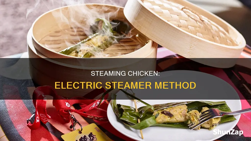 how to steam chicken in electric steamer