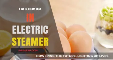 Steaming Eggs: Electric Steamer Method