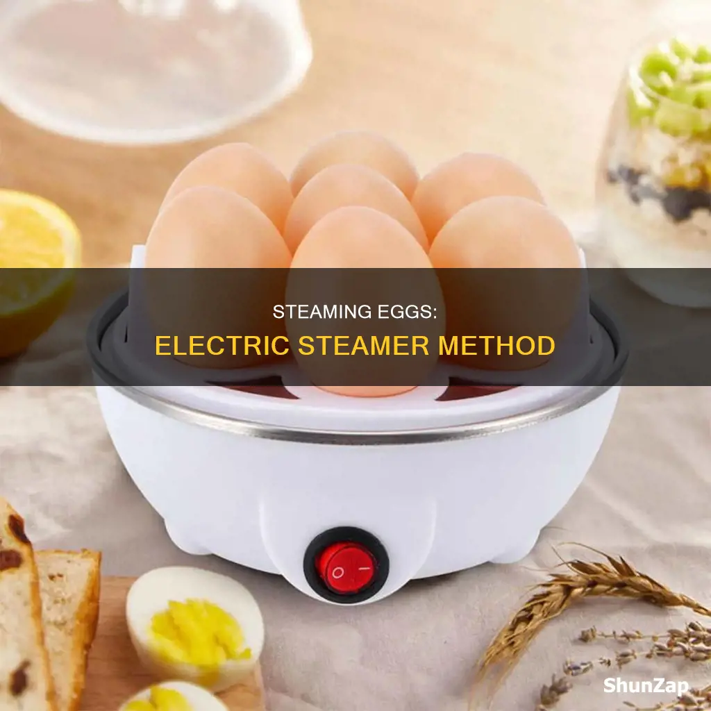 how to steam eggs in electric steamer