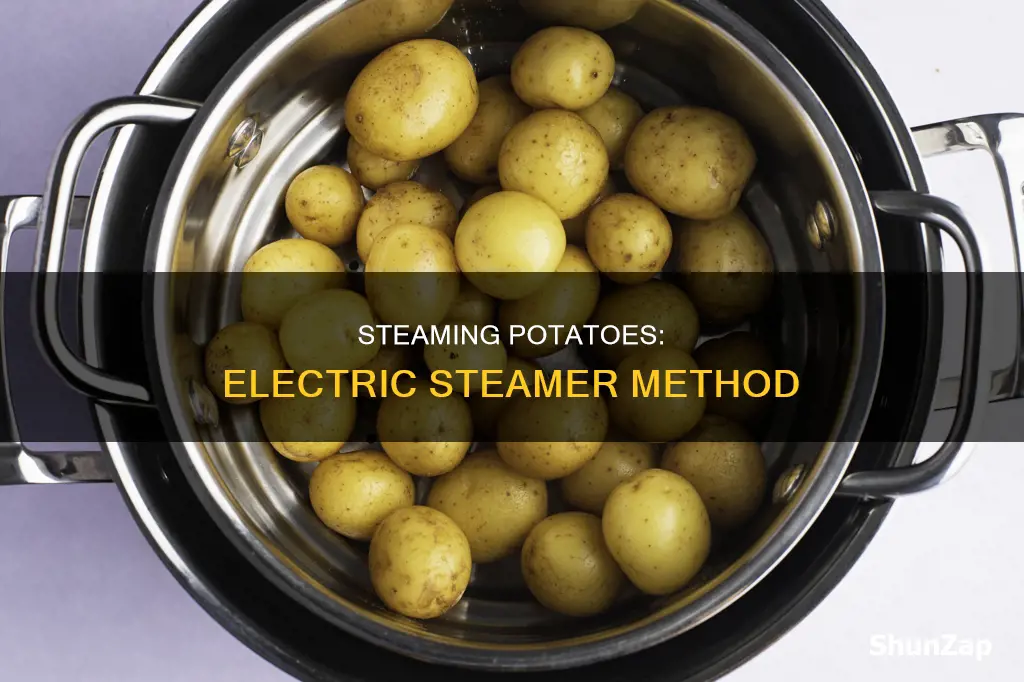 how to steam potatoes in electric steamer