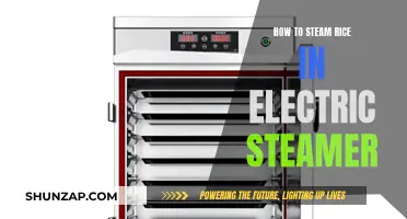 Steaming Rice: Electric Steamer Method for Perfect Results