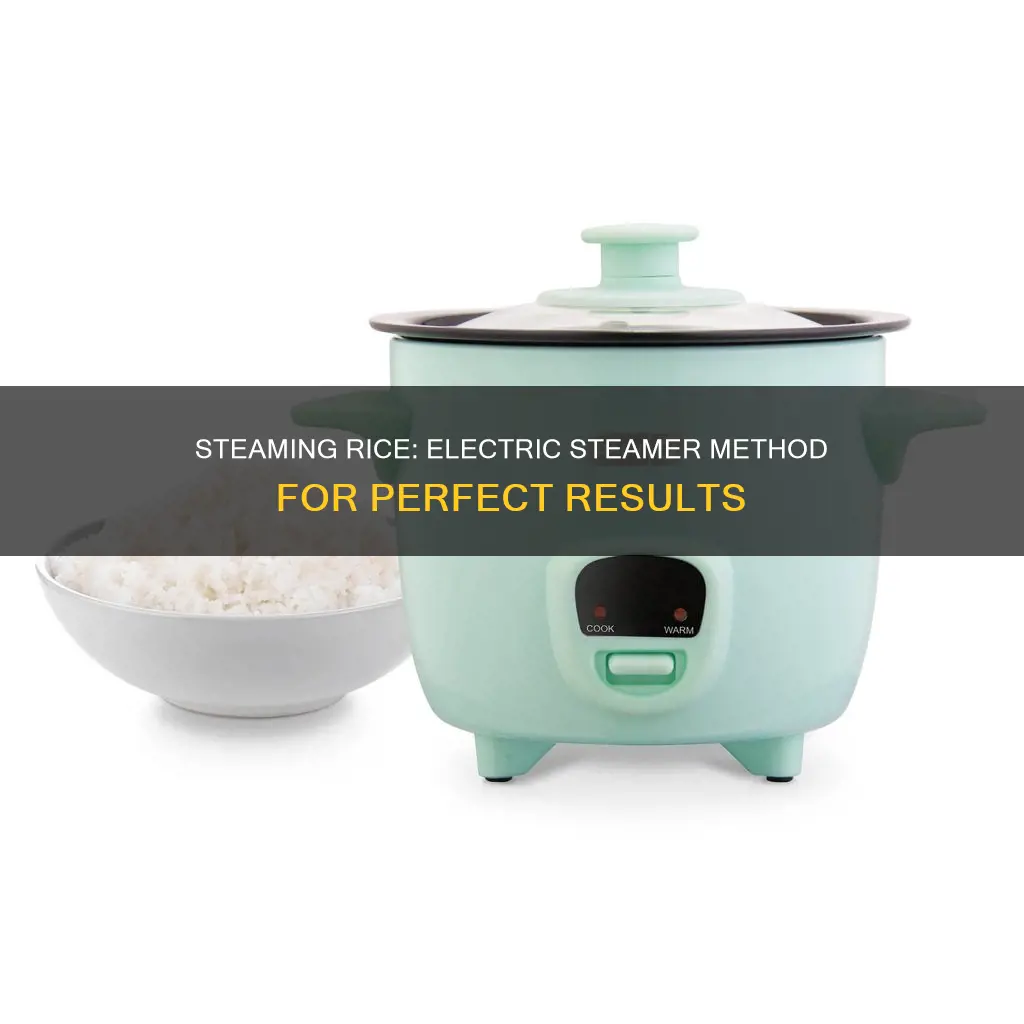 how to steam rice in electric steamer