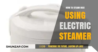 Perfectly Fluffy Rice: Mastering Electric Steamer Cooking Techniques