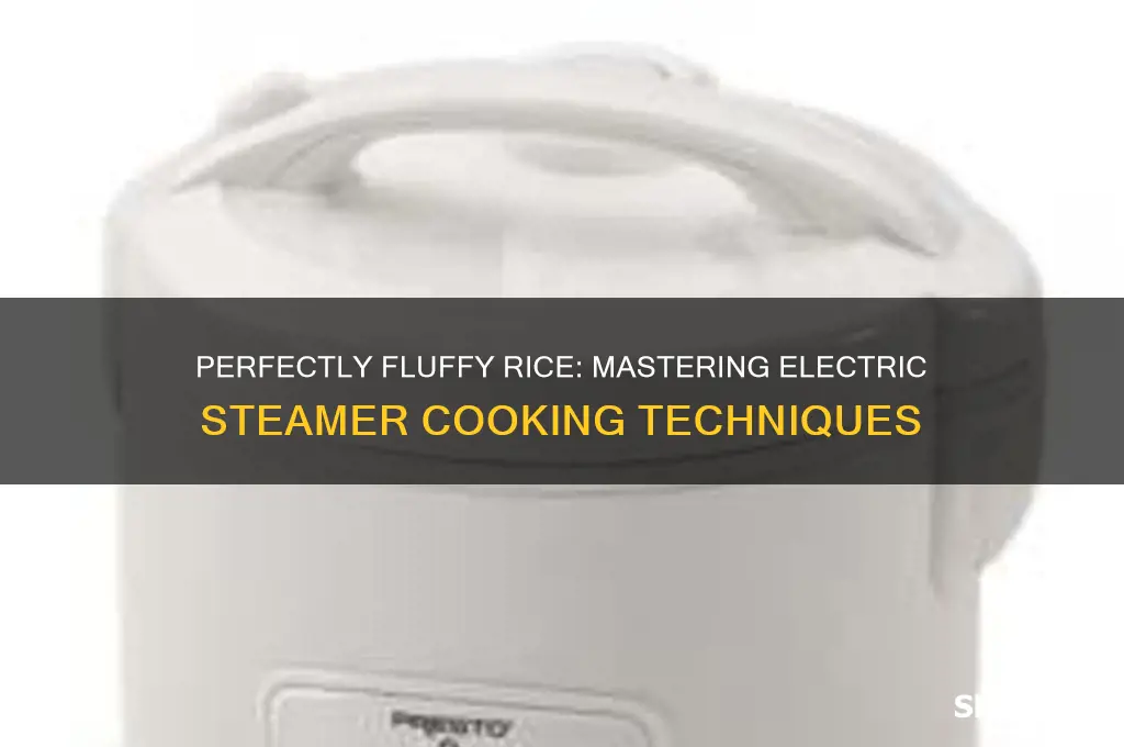how to steam rice using electric steamer