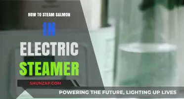 Steaming Salmon: Electric Steamer Method