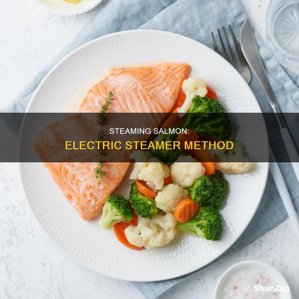 how to steam salmon in electric steamer