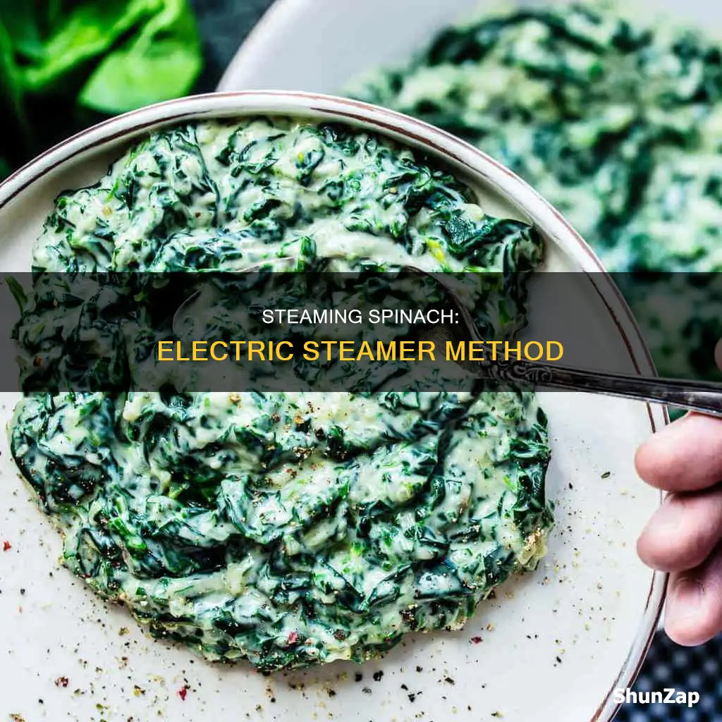 how to steam spinach in electric steamer
