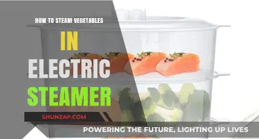 Steaming Veggies: Electric Steamer Simplified